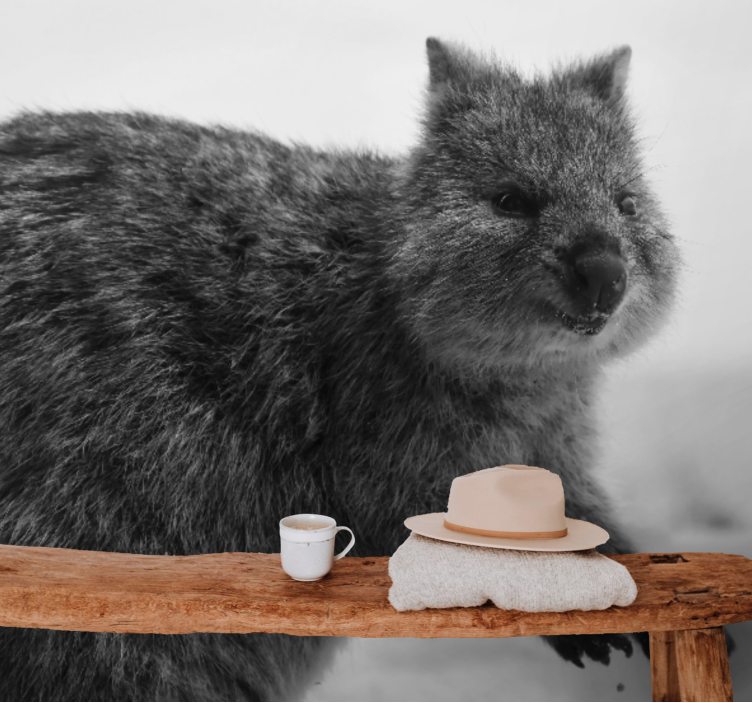 Fototapete tiere nahaufnahme wombat ausdruck - TenStickers
