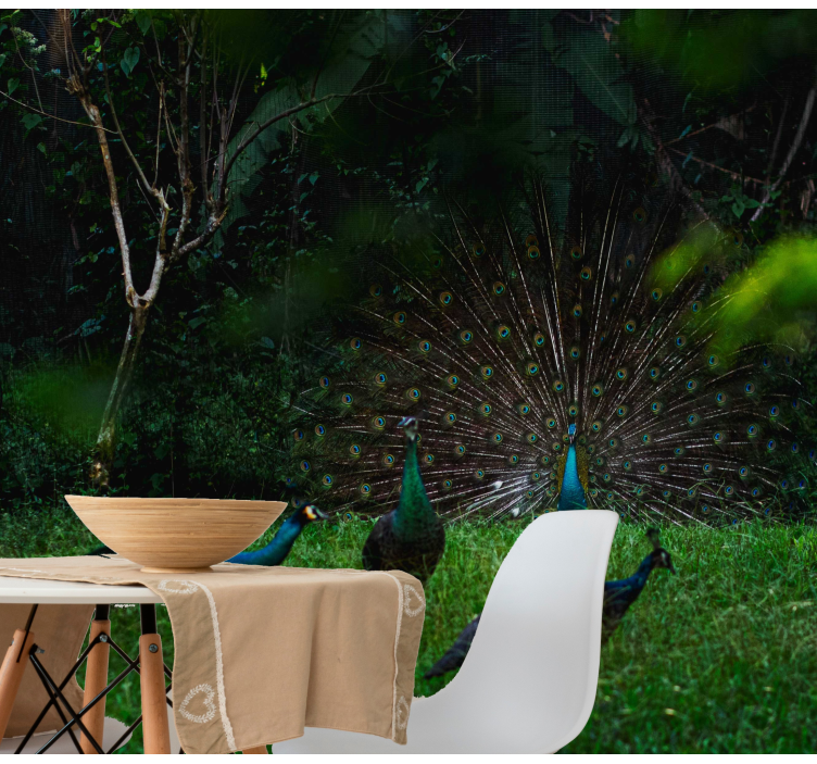Fototapete tiere pfau mit ausgebreiteten federn - TenStickers