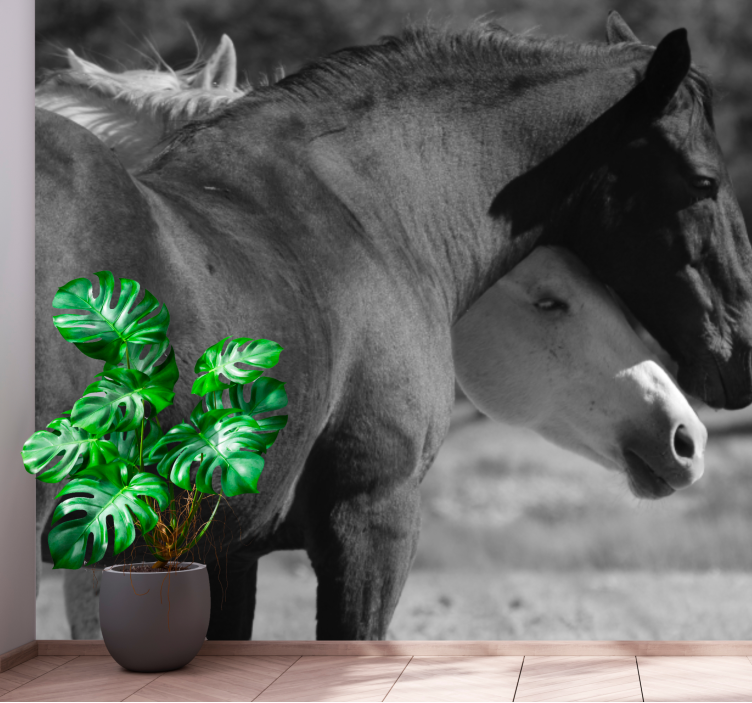 Fototapete tiere pferdefreundschaft - TenStickers