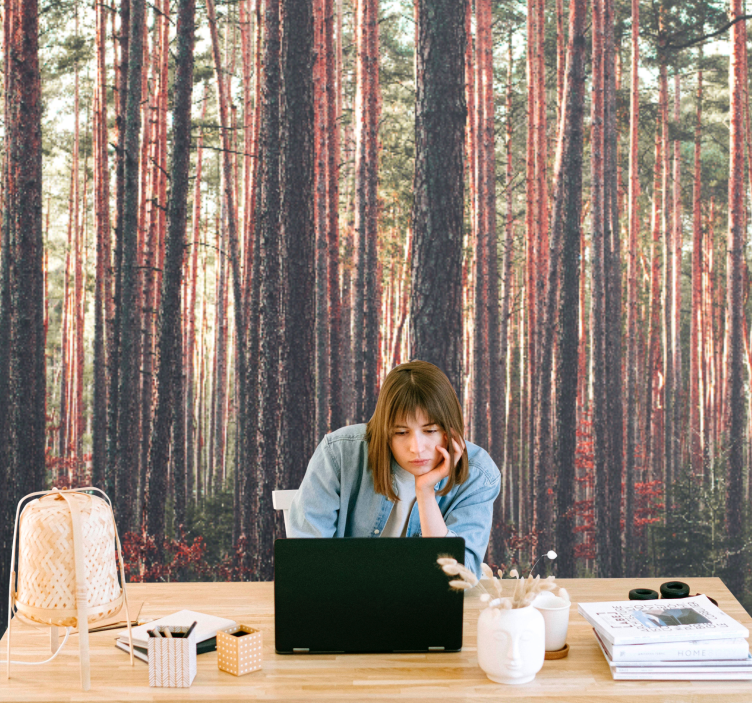 Fototapete wald ruhige kiefernhölzer - TenStickers