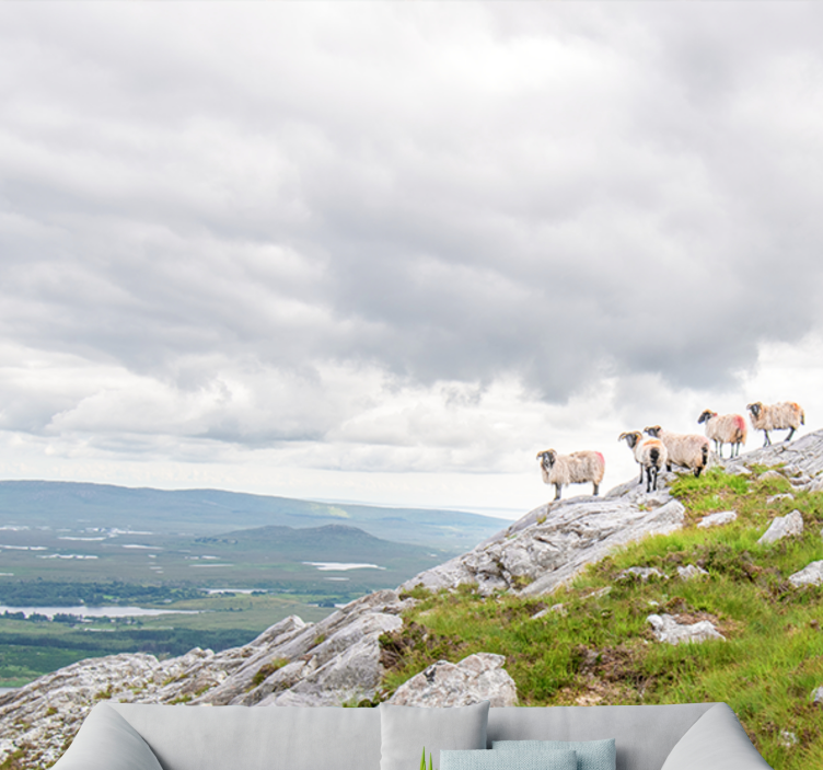 Fototapeten tiere lämmer auf hängen - TenStickers