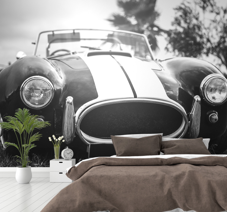 Vintage Rennwagen Foto Wandtapete - TenStickers