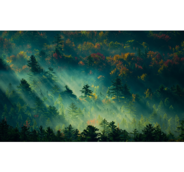 Tapete wald der stimmungsvolle wald - TenStickers