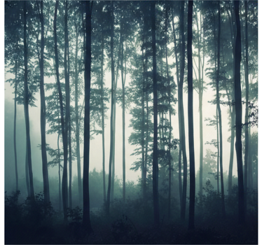 Tapete wald zen aus dem gemalten wald - TenStickers