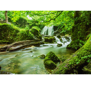 Wasserfall im dschungel Fototapete - TenStickers