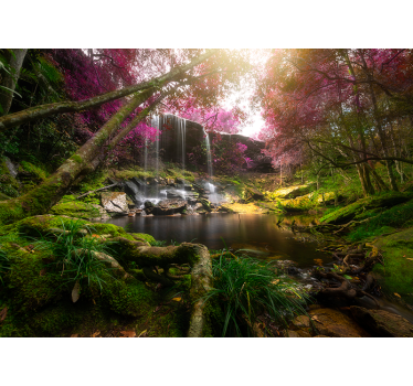 Wilder Dschungel mit Wasserfall Fototapete - TenStickers