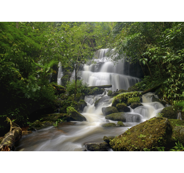 Wald und Wasserfälle Landschaft Fototapete - TenStickers