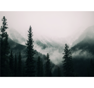Fototapete Wald neblige berglandschaft - TenStickers