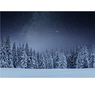 Fototapete Natur verschneite kiefernlandschaft - TenStickers