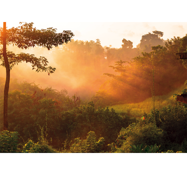 Fototapete natur ruhige waldlandschaft - TenStickers
