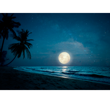 Fototapete Natur mondbeschienene meeresszene - TenStickers
