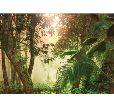 Fototapete natur sonniger waldblick - TenStickers