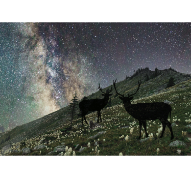 Fototapete Wald sternenklare nacht hirsche - TenStickers