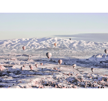 Fototapete Landschaften heißluftballons landschaft - TenStickers