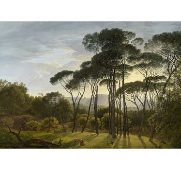 Fototapete Natur wald sonnenstrahlen - TenStickers
