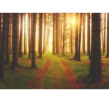 Tapete wald blick auf den waldweg - TenStickers