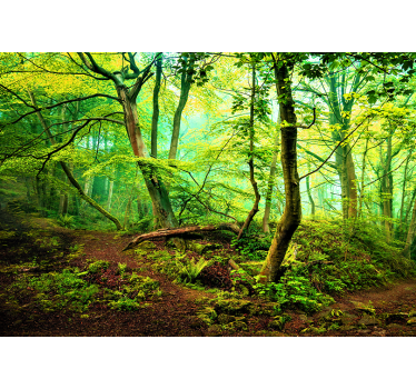 Fototapete wald lebhaftes grünes waldland - TenStickers