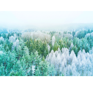 Fototapete Natur waldlandschaftsansicht - TenStickers
