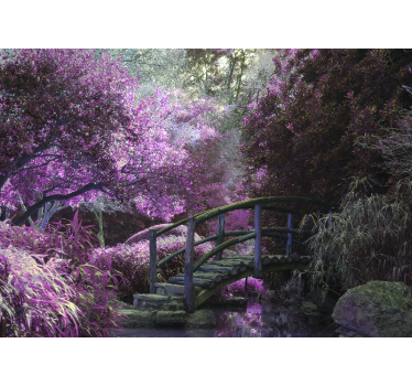 Fototapete Natur ruhige brückenlandschaft - TenStickers