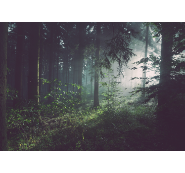 Fototapete natur grünes waldlandschaft - TenStickers