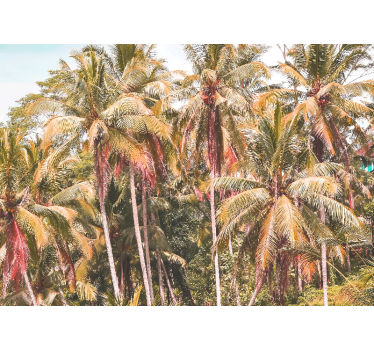 Fototapete natur üppiger palmenwald - TenStickers