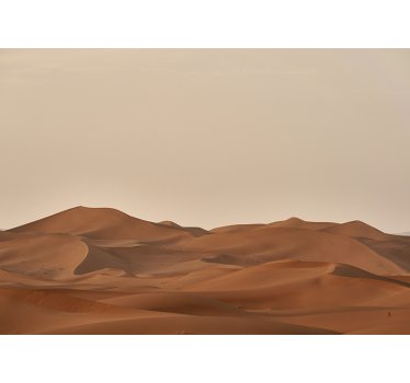 Fototapete wüste sandige landschaft - TenStickers