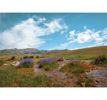 Fototapete natur weite berglandschaft - TenStickers
