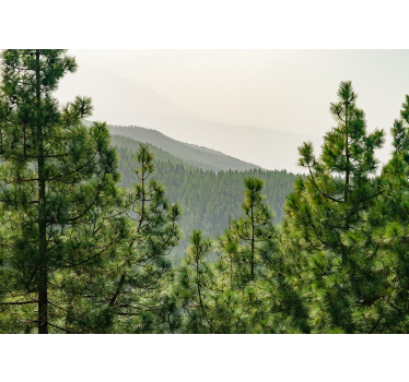 Fototapete natur üppige grüne landschaft - TenStickers