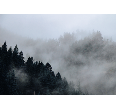 Fototapete Wald neblige feuchte landschaft - TenStickers