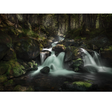 Fototapete wasserfall ruhiger waldfluss - TenStickers