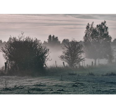 Fototapete natur nebeliger waldlandschaft - TenStickers