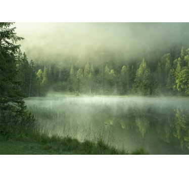 Fototapete natur nebeliger see spiegelung - TenStickers