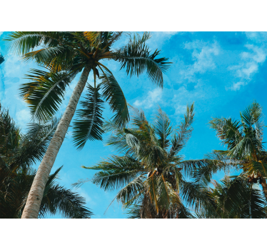 Fototapete natur palmen am himmel - TenStickers