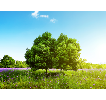 Fototapete natur üppige grüne bäume - TenStickers