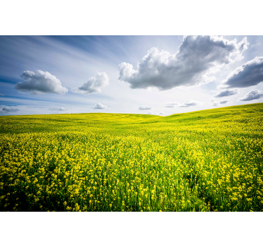Fototapete natur weites grünes feld - TenStickers