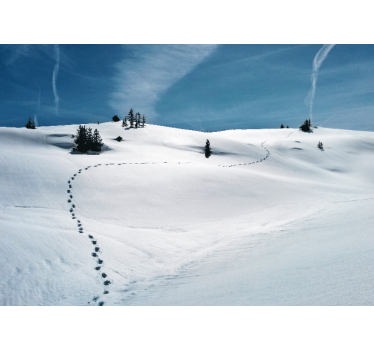 Fototapete berge schneeweg - TenStickers
