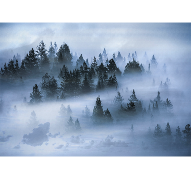Fototapete natur nebelige immergrünwälder - TenStickers