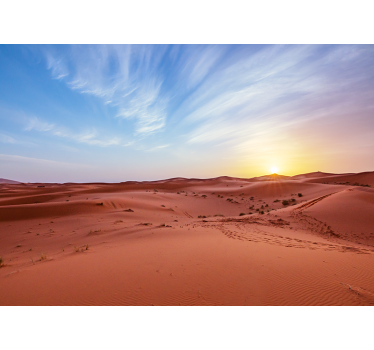 Fototapete wüste goldener sonnenuntergang - TenStickers