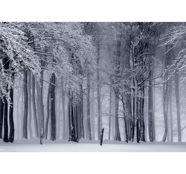 Fototapete Wald verschneite baumlandschaft - TenStickers