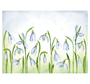 Fototapete blumen schneeglöckchen flora - TenStickers