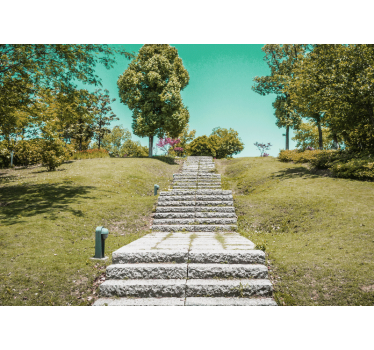 Fototapete natur treppe durch die natur - TenStickers
