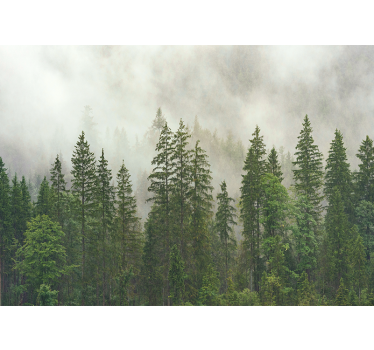 Tapete mit Bäumen Mysteriöser wald - TenStickers