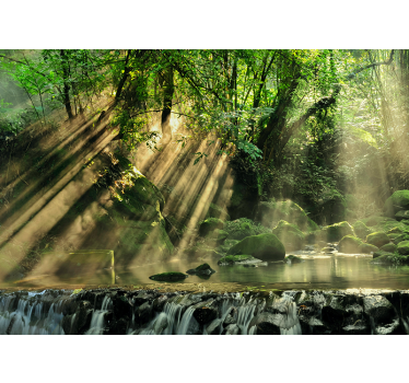 Fototapete Natur sonnenbeschienenen waldbach - TenStickers