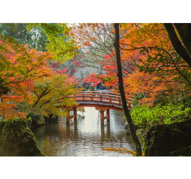 Fototapete natur herbstbrücke szene - TenStickers