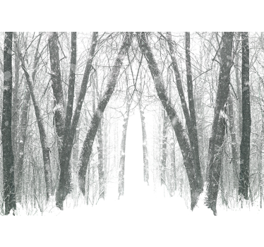 Fototapete Wald verschneiter waldweg - TenStickers
