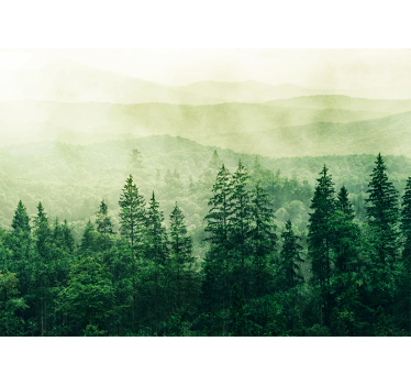Fototapete natur neblige grüne landschaft - TenStickers