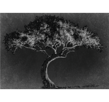 Fototapete baum elegante baum-silhouette - TenStickers