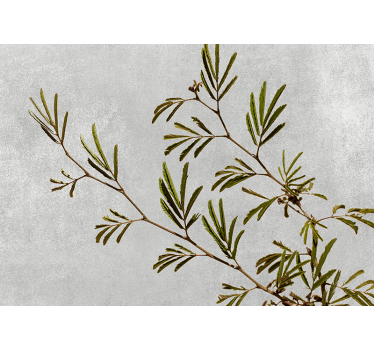 Fototapete Natur zarter grüner zweig - TenStickers