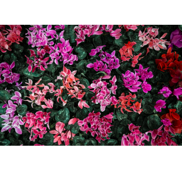 Wand Fototapete Bunte Blumen - TenStickers