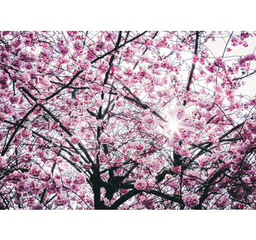 Fototapete Baum japanischer Kirschbaum - TenStickers